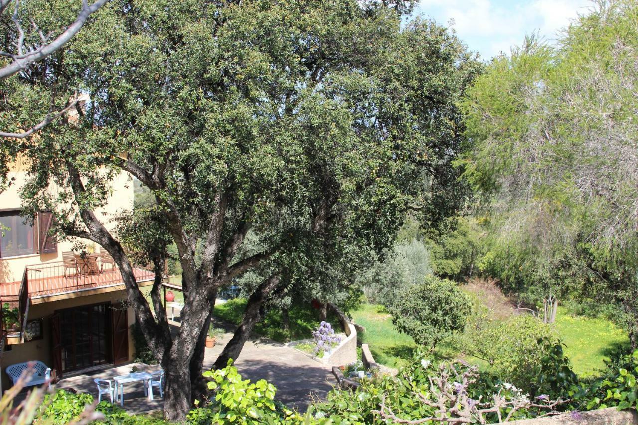 B&B Coldulivo Capoterra Extérieur photo