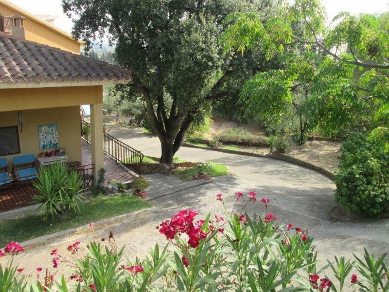 B&B Coldulivo Capoterra Extérieur photo